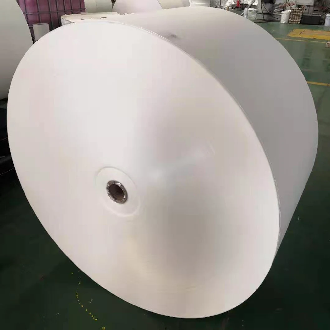 White PE Coated Paper Roll for Cup Paper Raw Materials