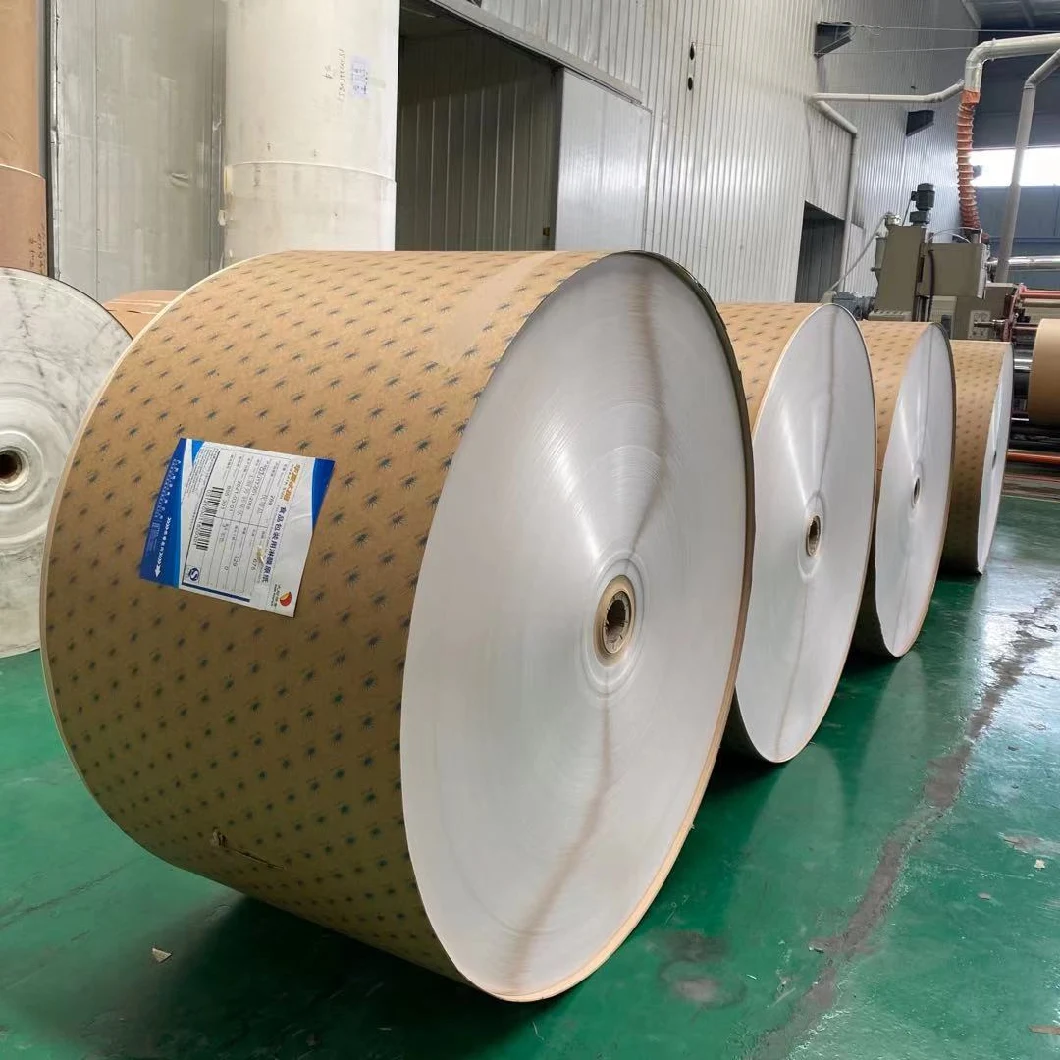 White PE Coated Paper Roll for Cup Paper Raw Materials