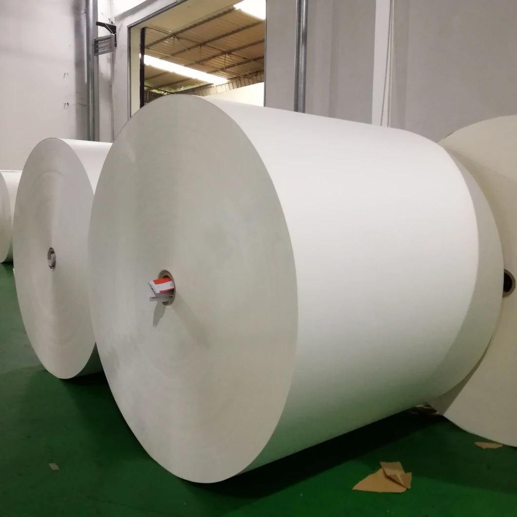 PE Coated Paper Roll for Paper Cup