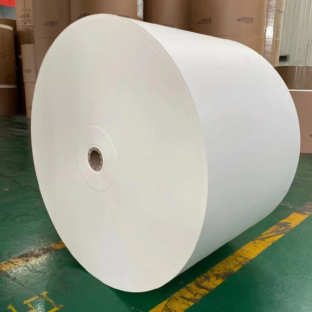 White PE Coated Paper Roll for Cup Paper Raw Materials