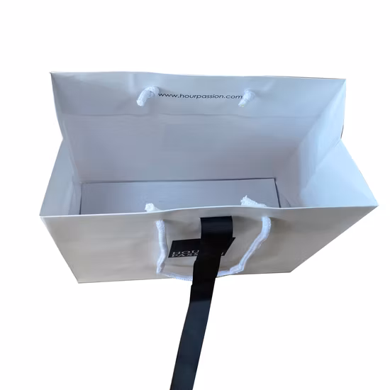 Bolso de lujo del regalo de las compras del empaquetado del papel revestido del arte blanco FSC impreso para el regalo de la ropa de la ropa